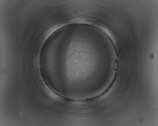 X0000096691141200802051340