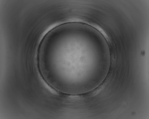 X0000096691142200802051340