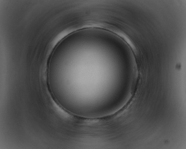 X0000096691143200802051340