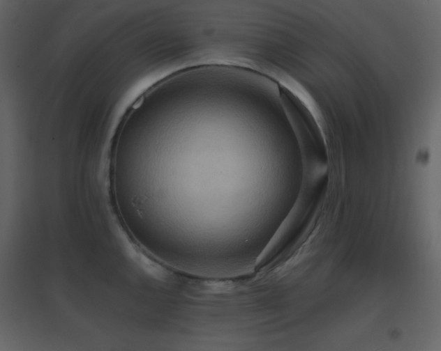 X0000096691144200802051340