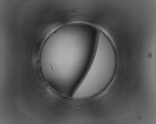 X0000096691145200802051340