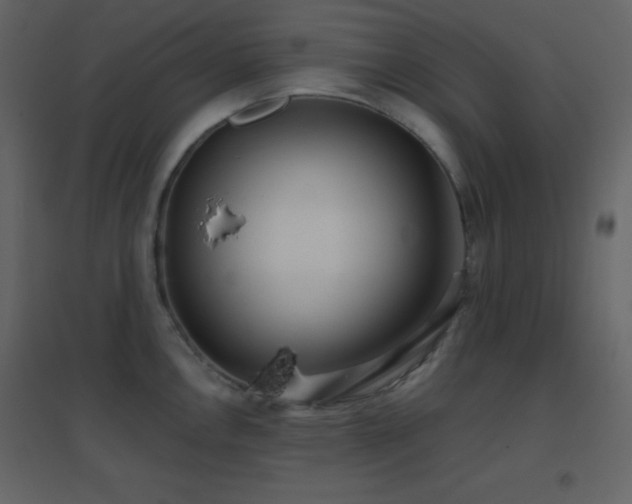X0000096691146200802051340