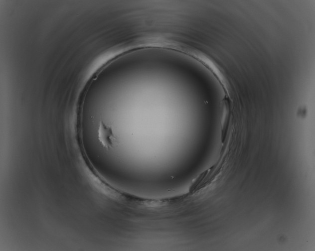 X0000096691147200802051340