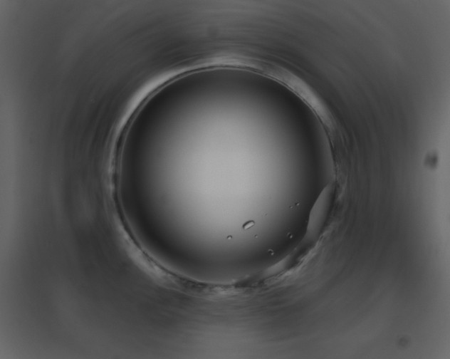X0000096691148200802051340