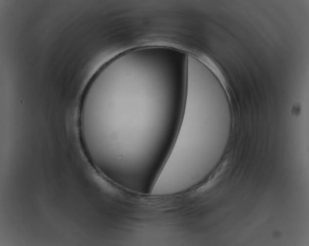 X0000096691149200802051340