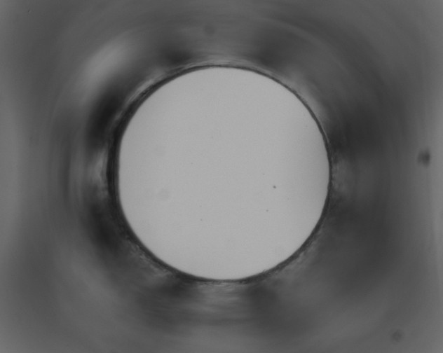 X0000096691150200802051340