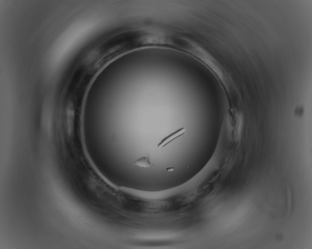 X0000096691151200802051340