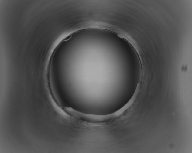 X0000096691152200802051340