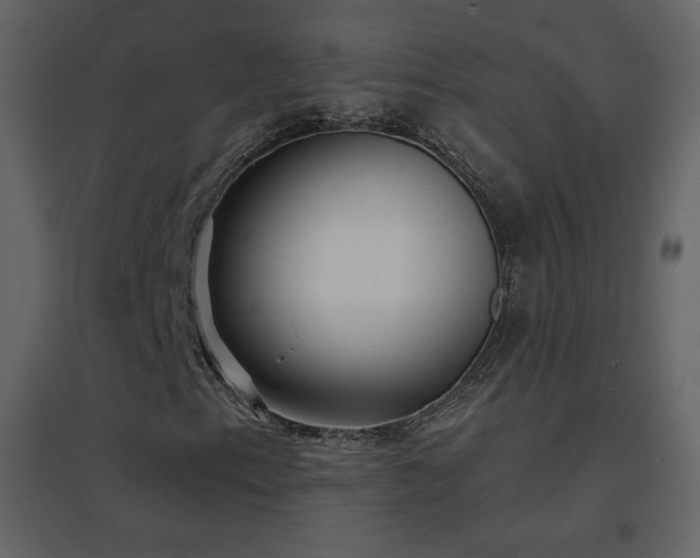 X0000096691153200802051339
