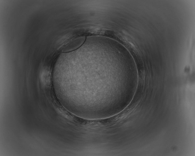X0000096691154200802051339