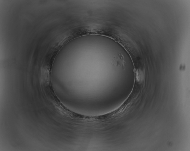 X0000096691155200802051339