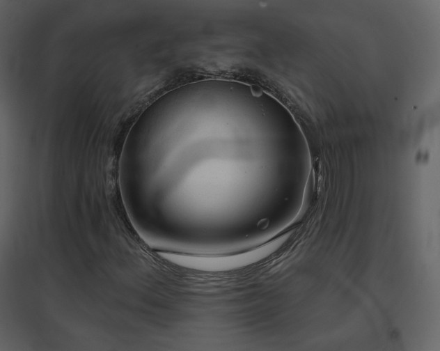 X0000096691156200802051339