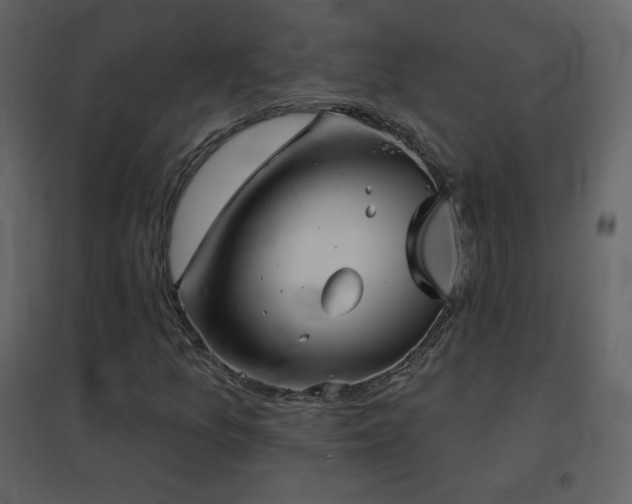 X0000096691157200802051339