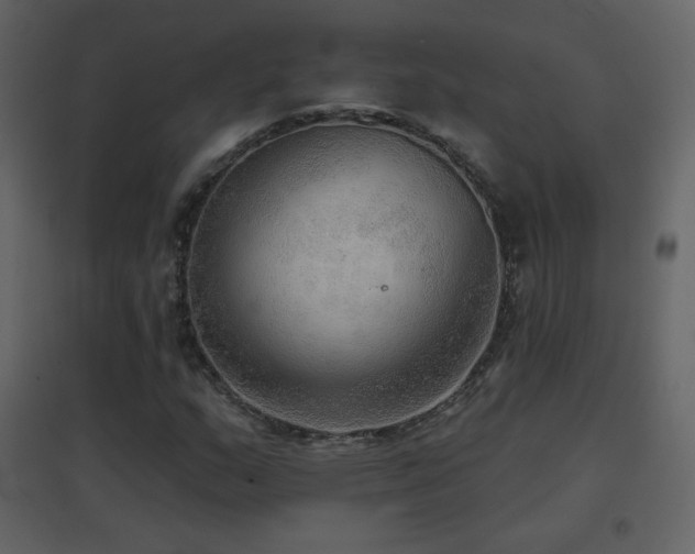 X0000096691159200802051339