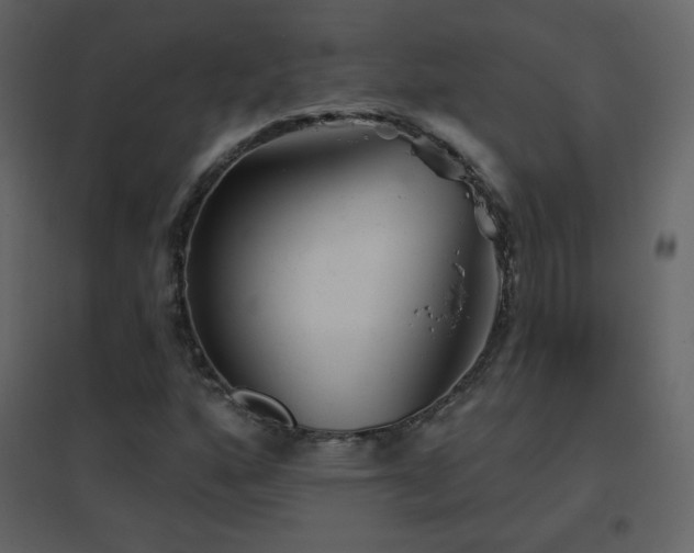 X0000096691160200802051339