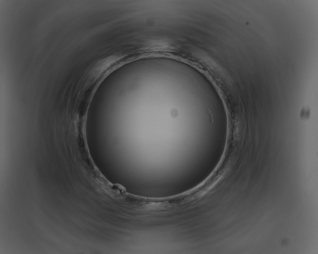 X0000096691161200802051339