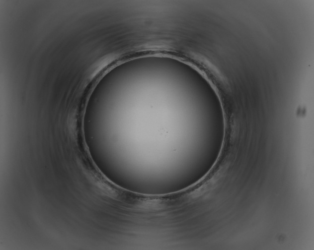 X0000096691162200802051339
