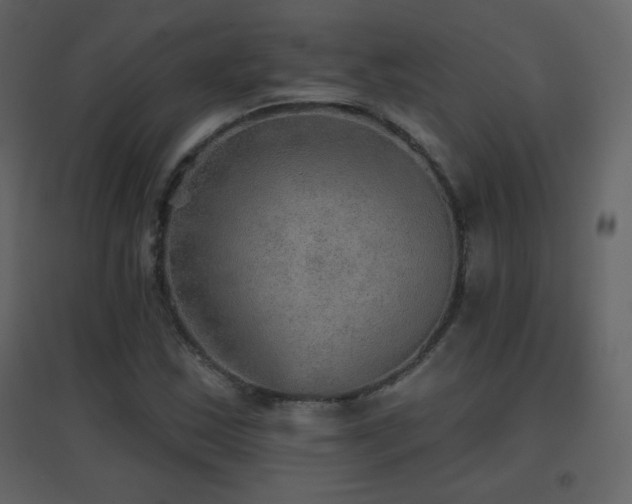 X0000096691163200802051339