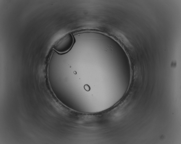 X0000096691164200802051339