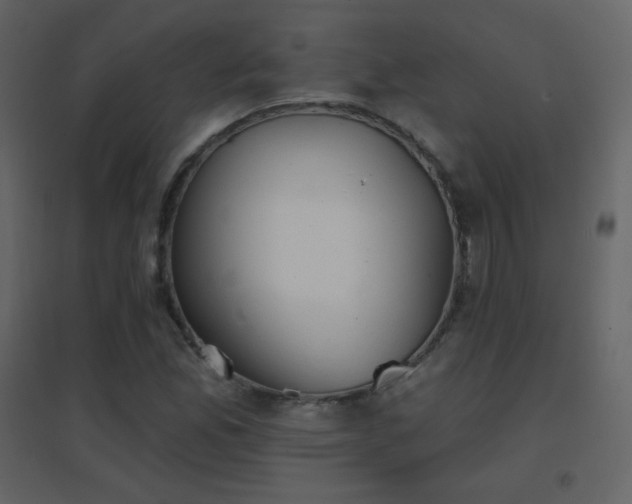 X0000096691165200802051339