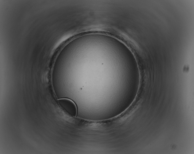X0000096691166200802051339