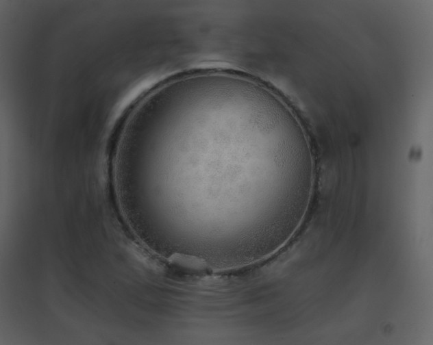 X0000096691167200802051339