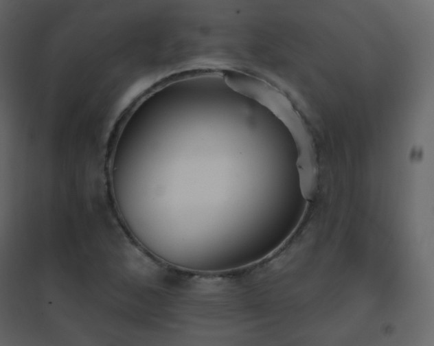 X0000096691168200802051339