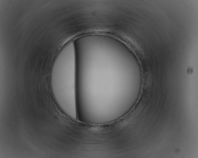 X0000096691169200802051339