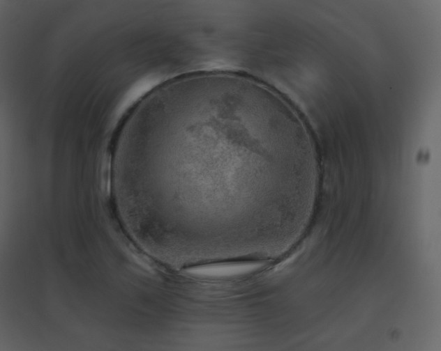 X0000096691171200802051339