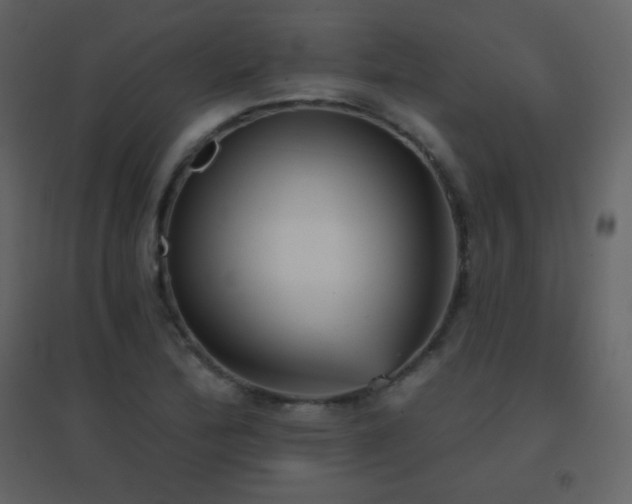X0000096691172200802051339