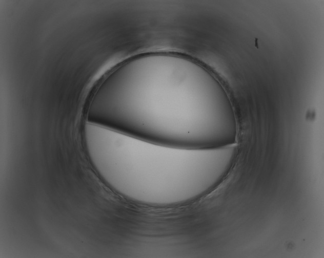 X0000096691173200802051339