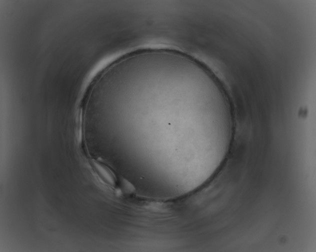 X0000096691175200802051339