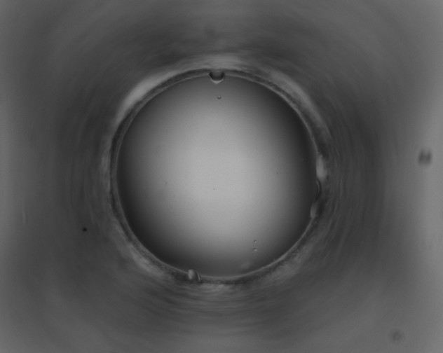 X0000096691176200802051339