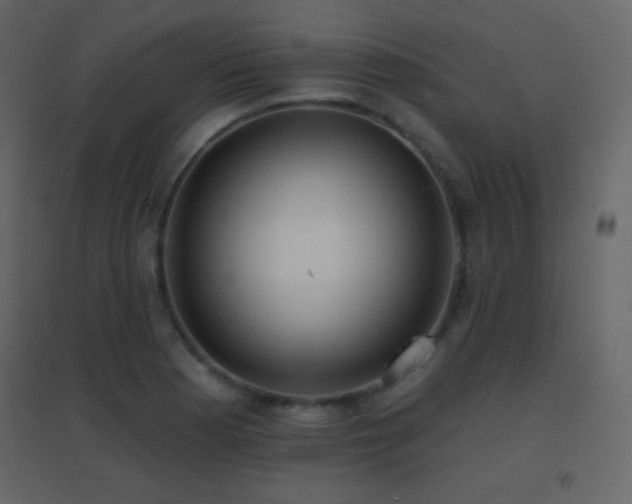 X0000096691177200802051339