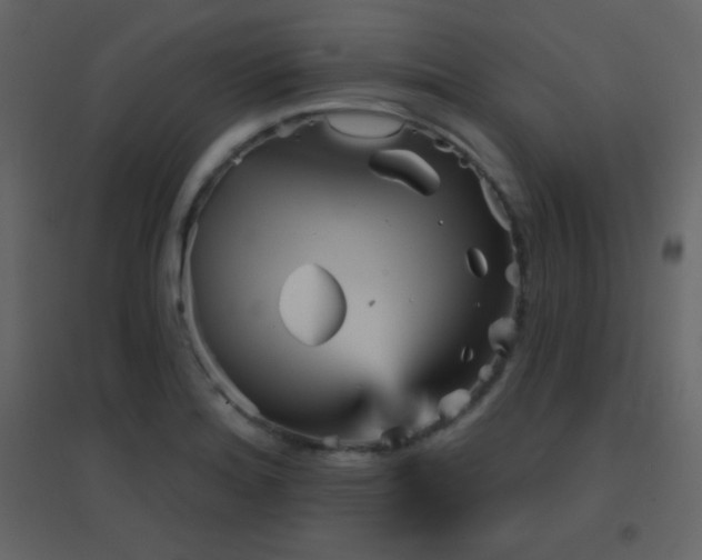 X0000096691180200802051339