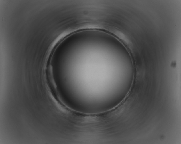 X0000096691181200802051339