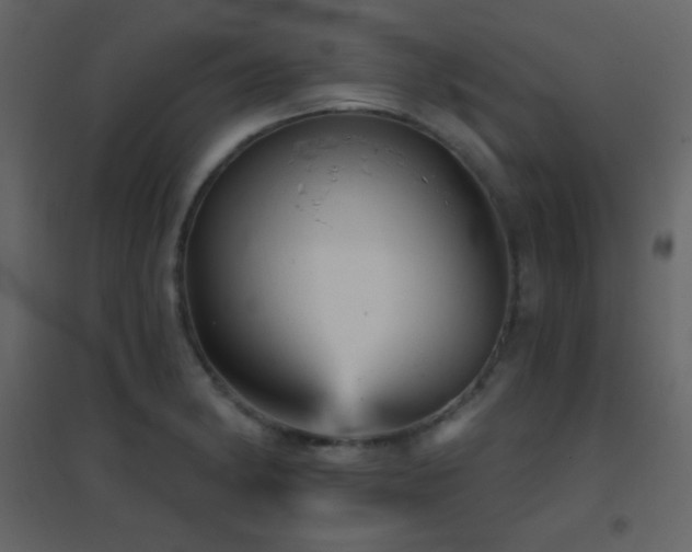 X0000096691182200802051339