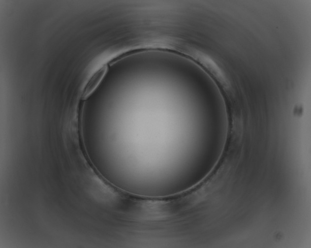 X0000096691184200802051339