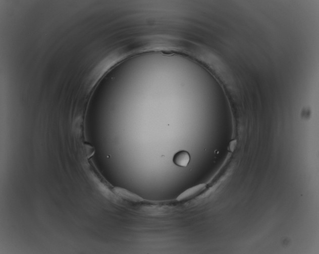 X0000096691185200802051339