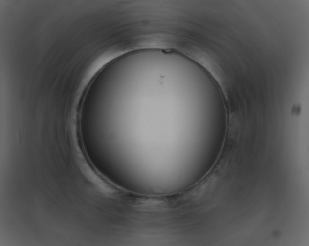 X0000096691187200802051339
