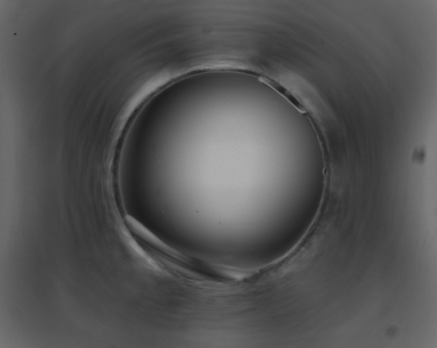 X0000096691189200802051339