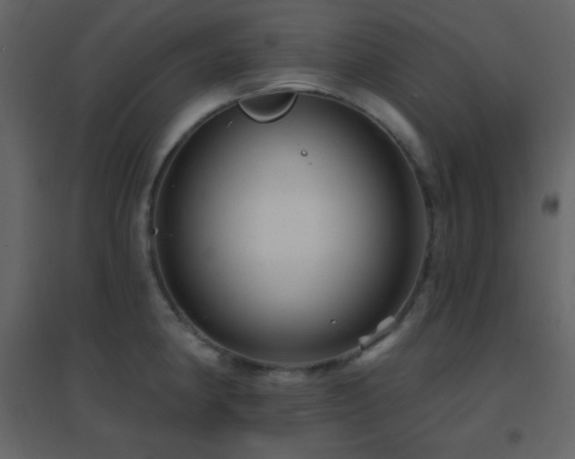 X0000096691190200802051338