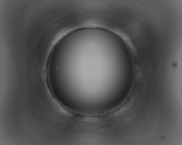 X0000096691191200802051338