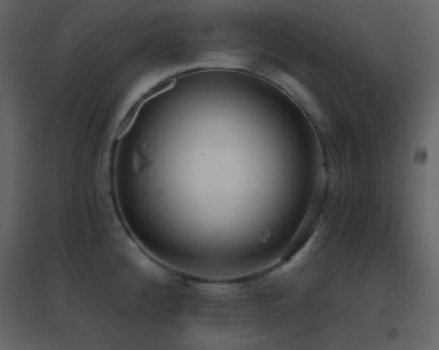 X0000096691192200802051338