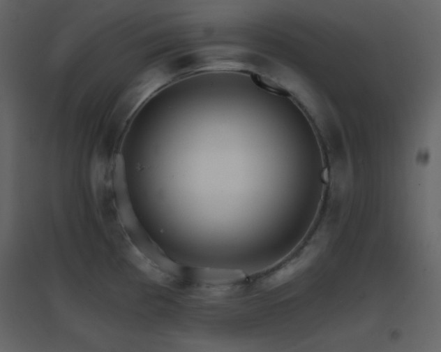 X0000096691193200802051338