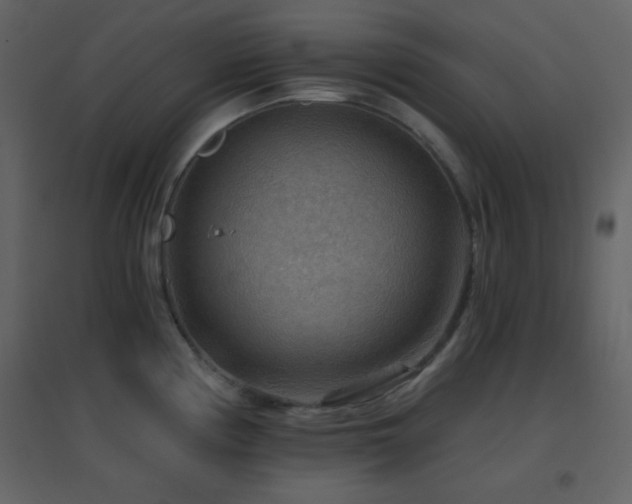 X0000096691194200802051338