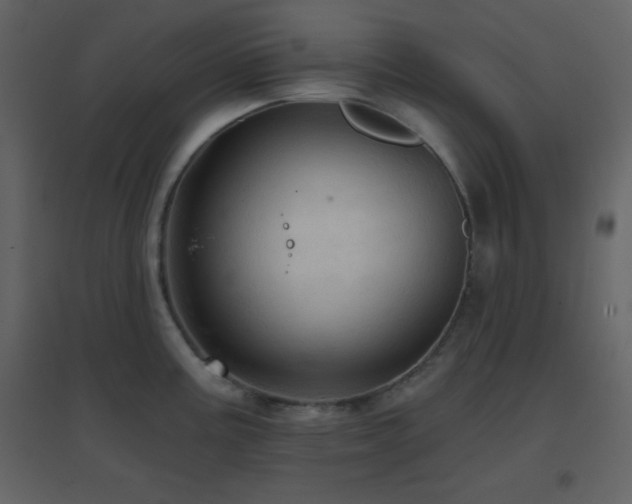 X0000096691195200802051338