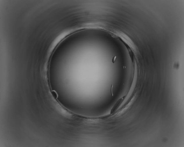 X0000096691196200802051338
