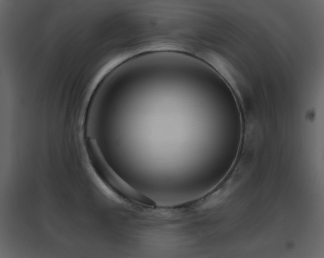 X0000096691197200802051338