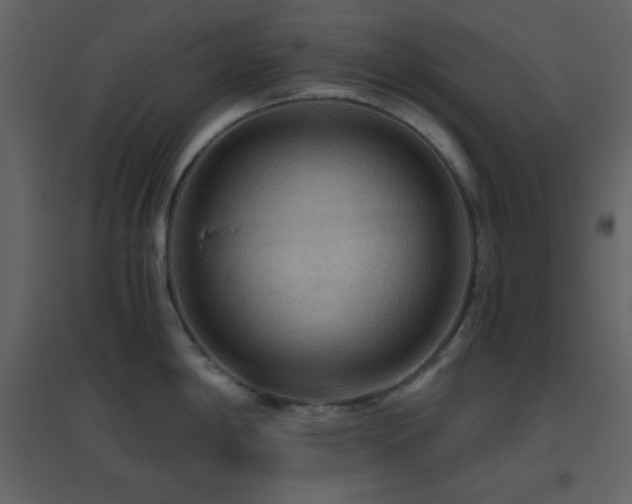 X0000096691198200802051338